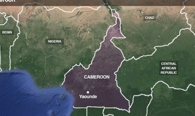 Cameroon military frees 300 Boko Haram captives along northern border
