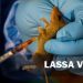 Lassa fever outbreak in Nigeria leaves 156 dead in 4 months