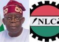 Nigerian govt trying to continue extorting ‘helpless’ citizens through cybersecurity levy: NLC
