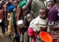 Food insecurity at all-time high in Nigeria, Niger Republic, Chad, Mali: International Rescue Committee