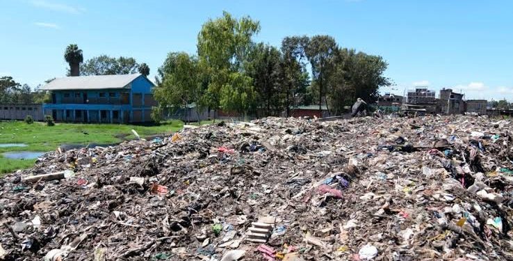 Kenyan students plant bamboo to help offset huge trash dump next door