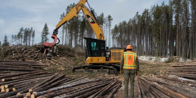 Governor Otu announces suspension of logging in Cross River