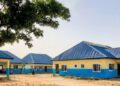 Don’t divert N260 billion PHCs intervention fund, APC chieftain begs governors