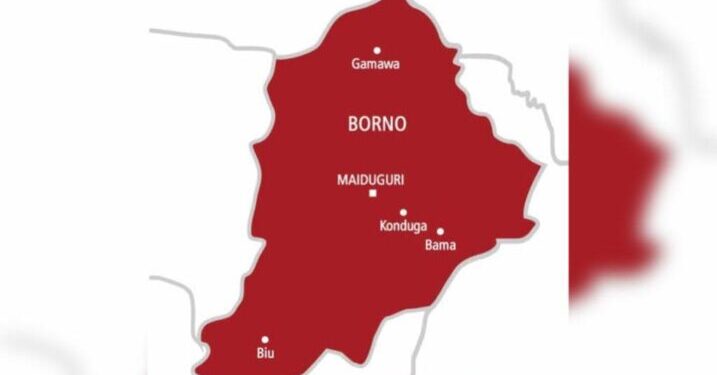 Six killed, 15 injured in Borno suicide attack