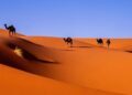 Media conference puts spotlight back on Western Saharan struggles