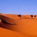 Media conference puts spotlight back on Western Saharan struggles