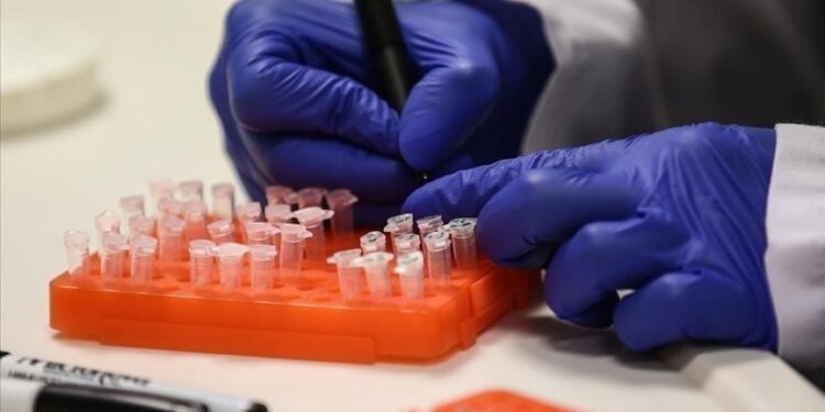 UN food agency demands urgent action against avian flu in Asia-Pacific