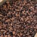 FG targets 500,000 metric tonnes of cocoa production by 2025