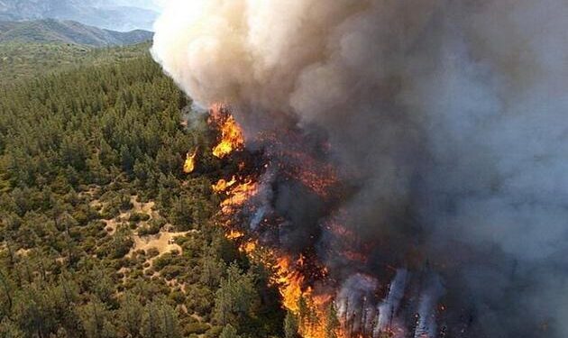 New Mexico wildfire that killed 2 people caused by lightning strike