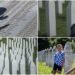 UN, Council of Europe commemorate 1995 Srebrenica genocide