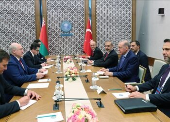 Turkish, Belarusian presidents stress peace in Ukraine, discuss broader regional, global issues