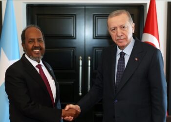 Turkish president, Somali counterpart discuss bilateral ties
