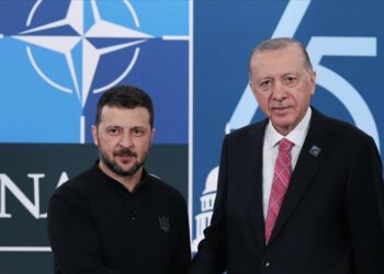 Turkish, Ukrainian presidents meet in US
