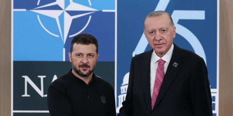 Turkish, Ukrainian presidents meet in US
