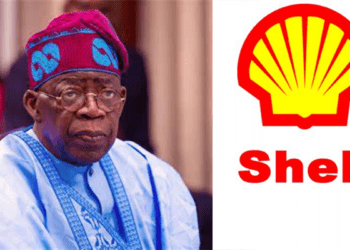 Tinubu’s govt hires Shell’s consultants to supervise sale of Shell’s assets in Nigeria, Amnesty International