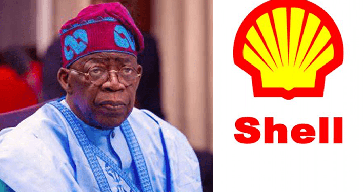 Tinubu’s govt hires Shell’s consultants to supervise sale of Shell’s assets in Nigeria, Amnesty International