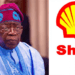 Tinubu’s govt hires Shell’s consultants to supervise sale of Shell’s assets in Nigeria, Amnesty International