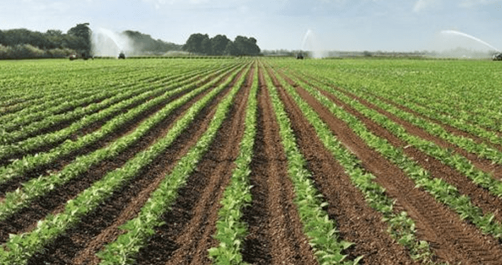 Farmers laud Borno government for providing free transportation to farms