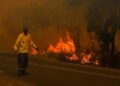 Morocco continues to battle forest fire amid heatwave