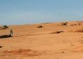14 people die in Algerian desert near Libyan border