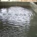 Three teenage girls drown in Jigawa pond