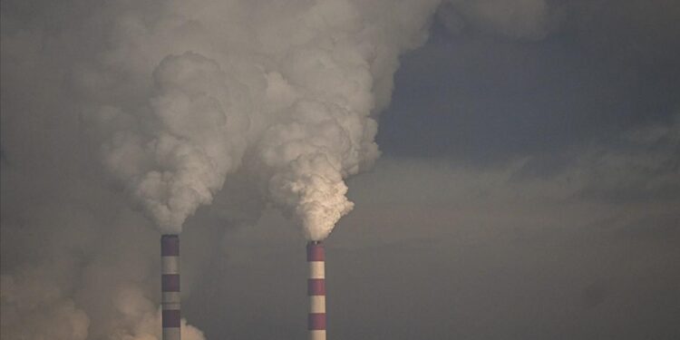 Colombia halts coal exports to Israel in protest over devastating Gaza onslaught