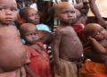 Four million children in North-East, North-West malnourished: FG