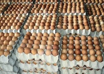Sri Lanka to import eggs to stabilise prices