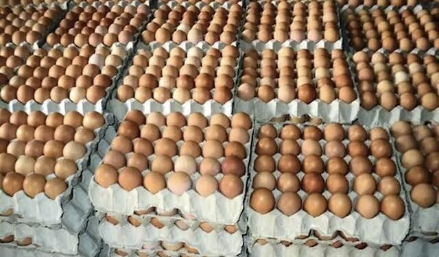 Sri Lanka to import eggs to stabilise prices