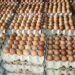 Sri Lanka to import eggs to stabilise prices