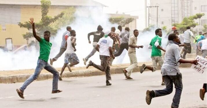 Kano market hires 800 security guards to stop looters, vandals