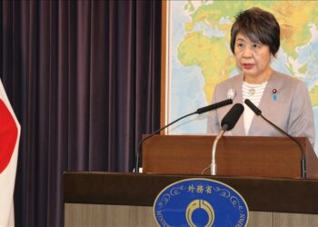 Japan looks to strengthen cooperation with S. Africa in power, energy sectors: Top diplomat