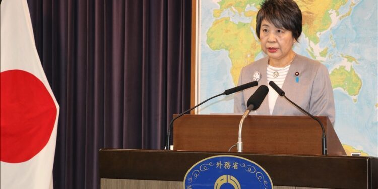 Japan looks to strengthen cooperation with S. Africa in power, energy sectors: Top diplomat