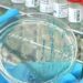 ROUNDUP – Thousands of mpox cases reported as of start of 2024
