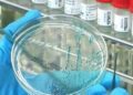 First mpox vaccines arrive in Africa amid delays