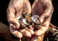 Africa’s historic use of seashells as currency: From trade to symbolism