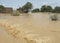 At least 60 dead as dam collapses in eastern Sudan