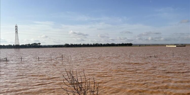 Flooding affects over 700,000 people across West, Central Africa