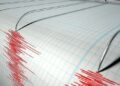 4.3 magnitude earthquake hits south of Algerian capital