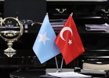 Türkiye, Somalia discuss cooperation in diplomatic training