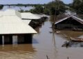 Flood kills 20, displaces 2,000 in Yobe