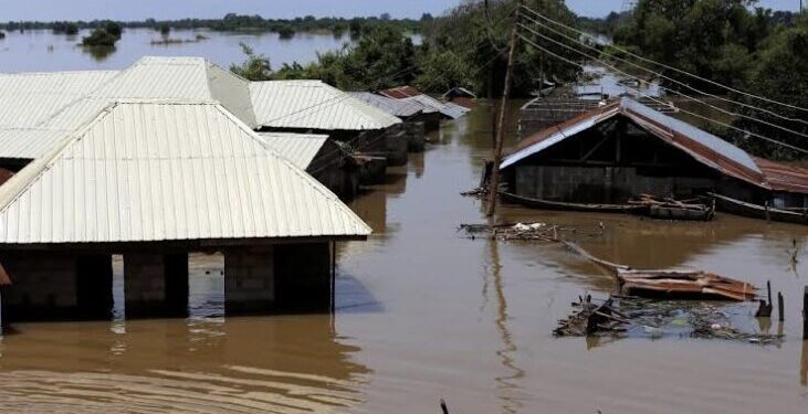 Flood kills 20, displaces 2,000 in Yobe