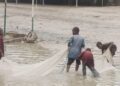 Borno Flood: Maiduguri residents use mosquito nets to fish