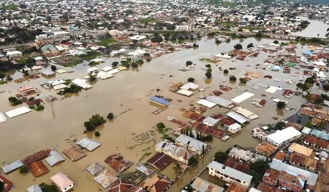 Presidential committee donates N1 billion to Borno flood victims
