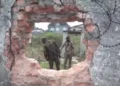 At least 150 killed, female inmates raped in attempted prison break in Congo