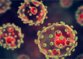 FG warns of potential surge in Lassa fever cases