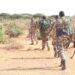 Somali army apprehends senior al-Shabaab ringleader