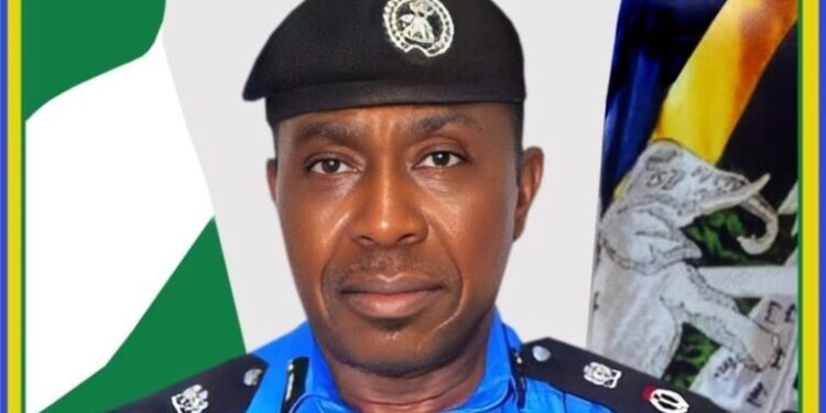 Enugu CP warns political thugs ahead of LG elections