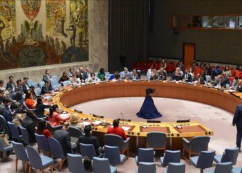 New vision a must for colonial, archaic UN Security Council: Oxfam chief