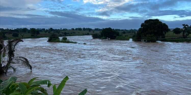 Niger postpones new academic year in schools, universities by a month due to floods